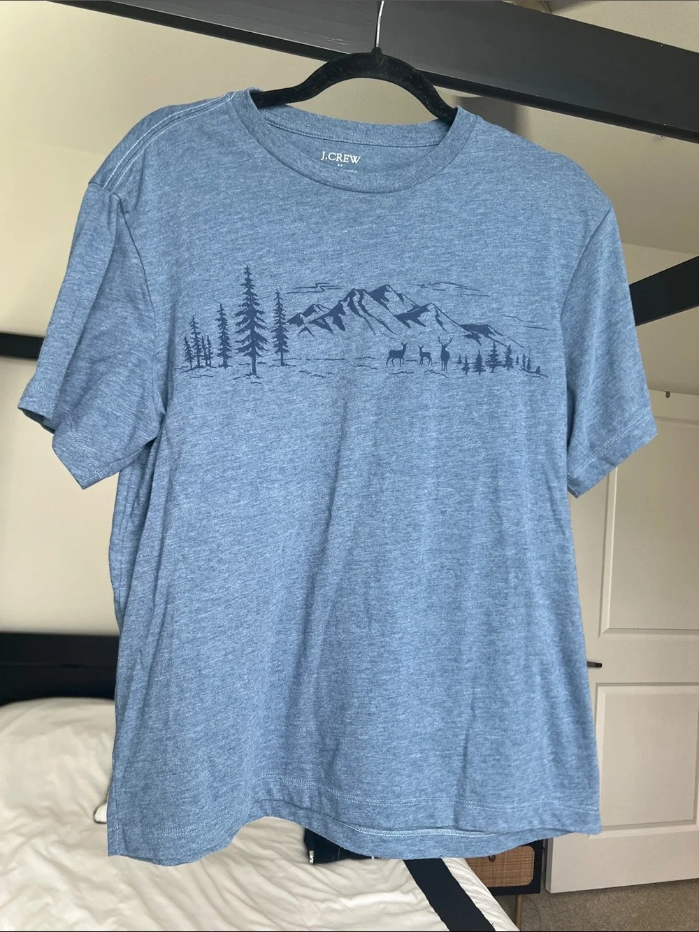 J. Crew Heather Blue Mountain & Forest Graphic Tee